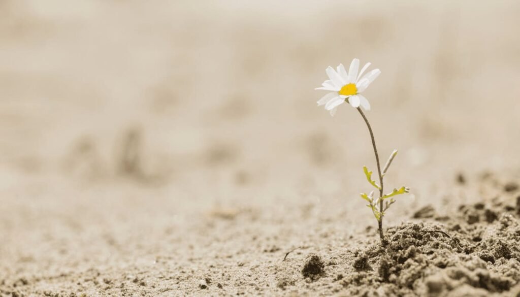 Resiliencia en Tiempos Difíciles